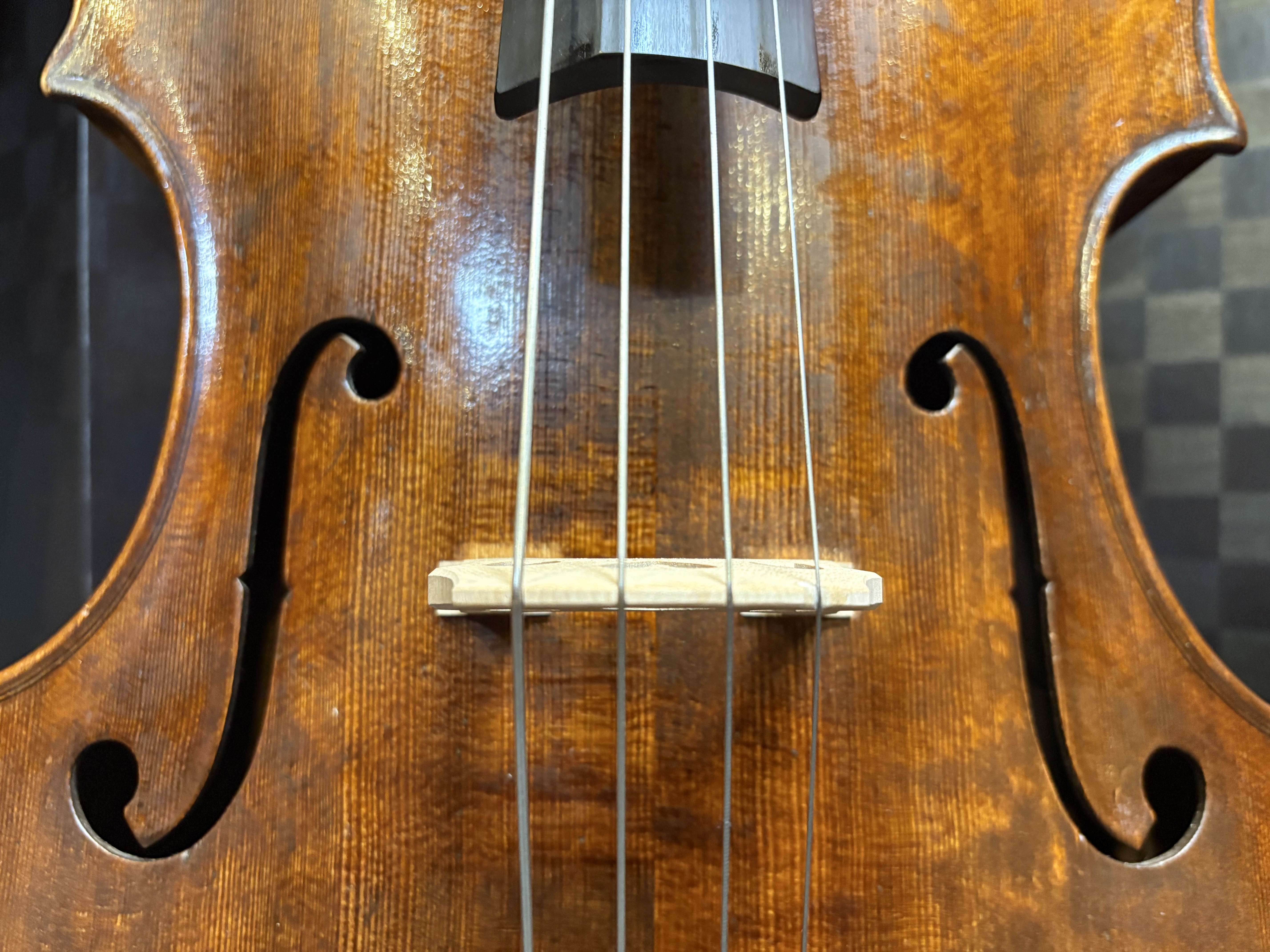 音楽と文化：ブレシアとクレモナの比較